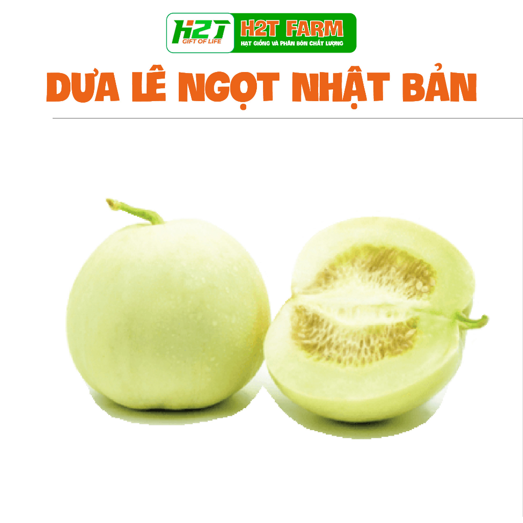 Hạt giống dưa lê siêu ngọt f1 nhật bản - h2t farm
