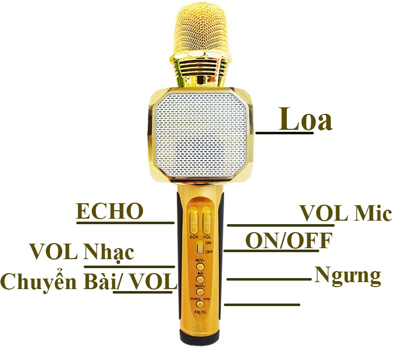 Micro Karaoke Bluetooth kèm loa SDRD SD-10