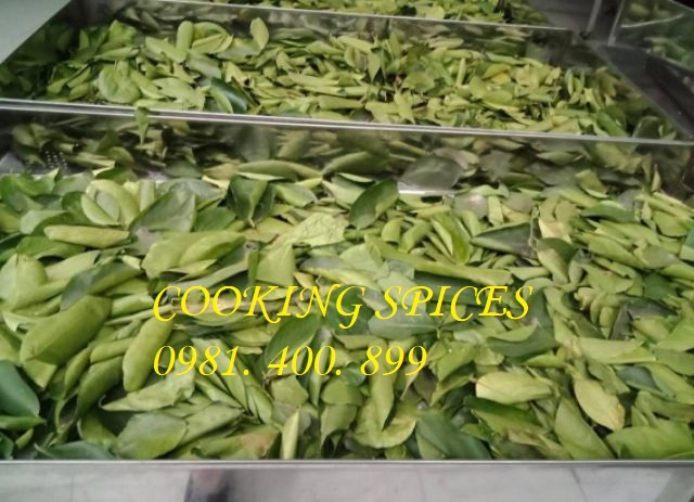 Lá Chanh Sấy Khô ( Lime Leaves ) lá sấy khô dùng làm khô gà