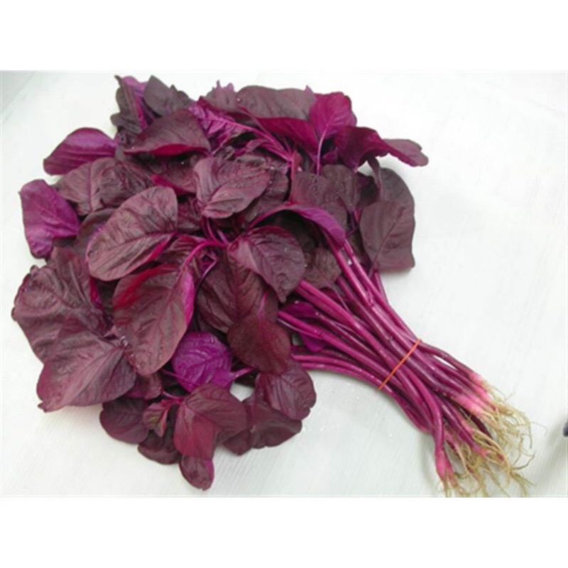 Hạt giống rau dền đỏ 20g