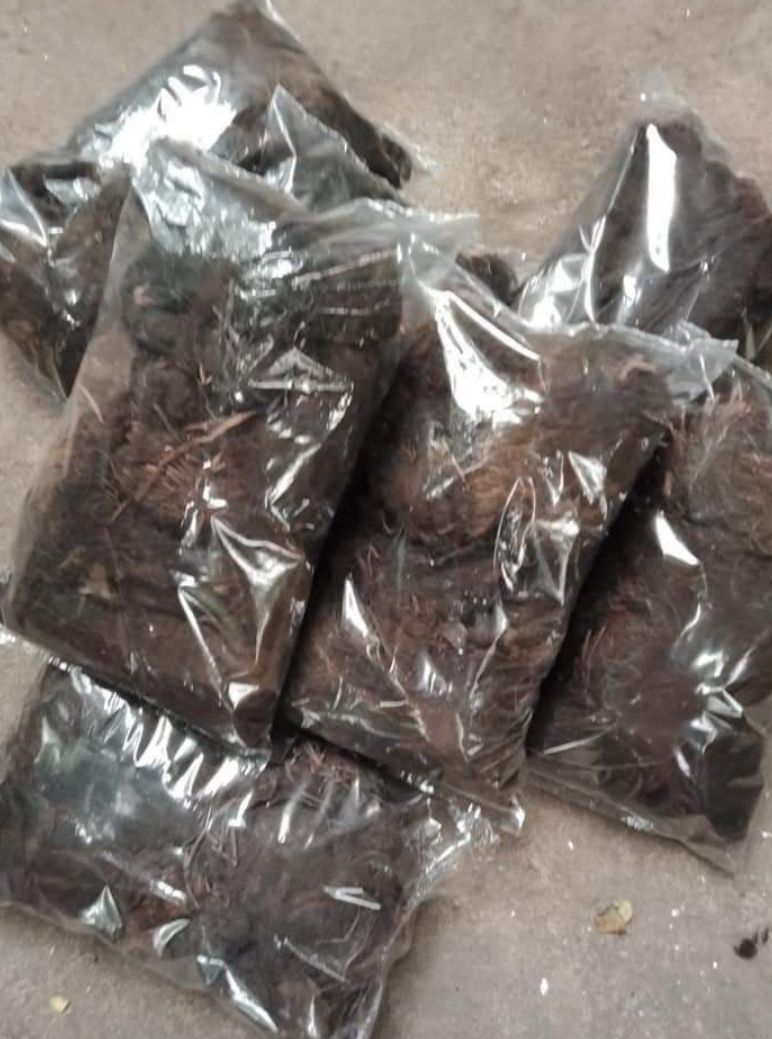 1kg Rễ Lục Bình_ Rễ Bèo Tây Chiết Cây