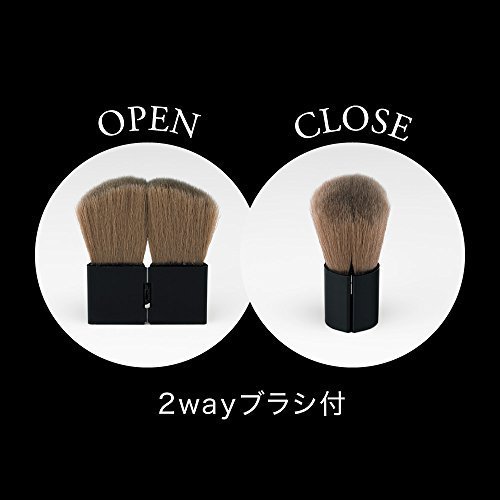 Phấn má hồng Kanebo Kate Cheek Color (2.7 đến 6.4 g) - Japan