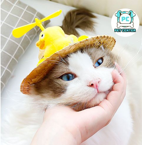 NÓN CỐI CHO CHÓ MÈO SIÊU DỄ THƯƠNG, NHIỀU MẪU