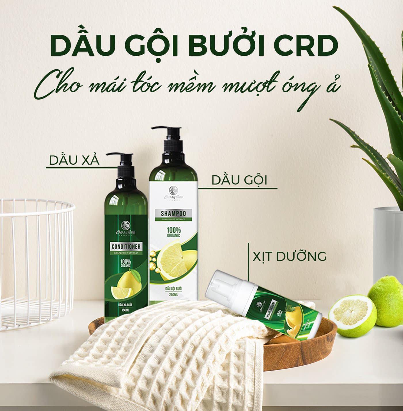 Combo dầu gội dầu xả và serum mọc tóc nhanh CRD -  CherryDao