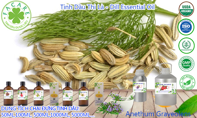 Tinh dầu Thì Là Dill essential oil - 10ml