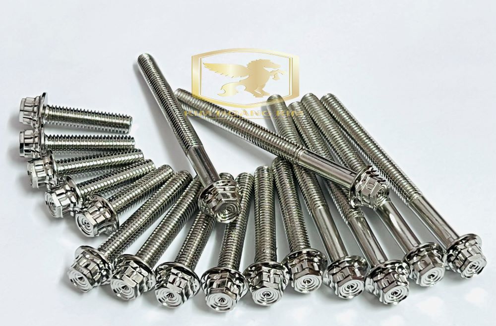 Bộ ốc lốc máy salaya th pro kết hợp giữa phay thái và salaya inox 304 gắn xe máy các loại winner,exciter,sirius,sonic,wave,dream,vario,future 125,raider satria....