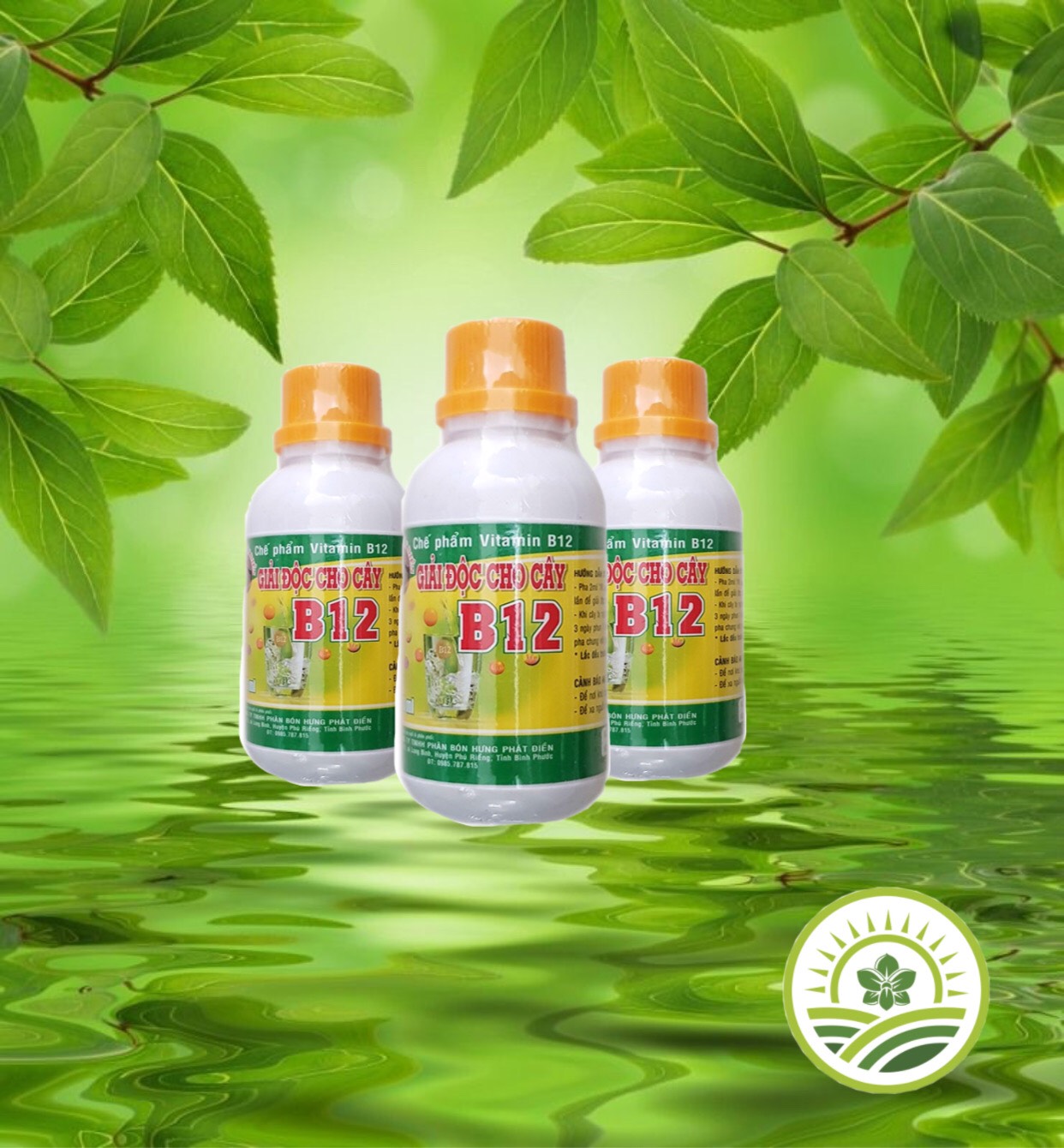 Combo kích ki cho Phong lan 7 sản phẩm