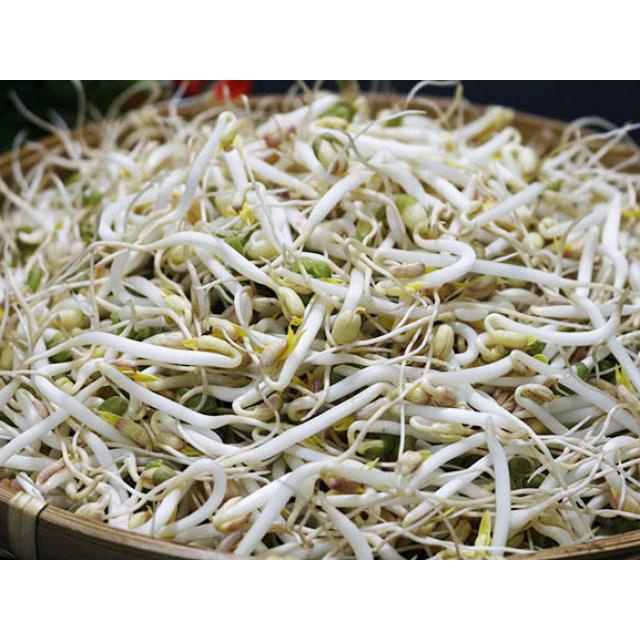 [HN] Giá đỗ sạch ngon bổ dưỡng - giao siêu tốc 1h