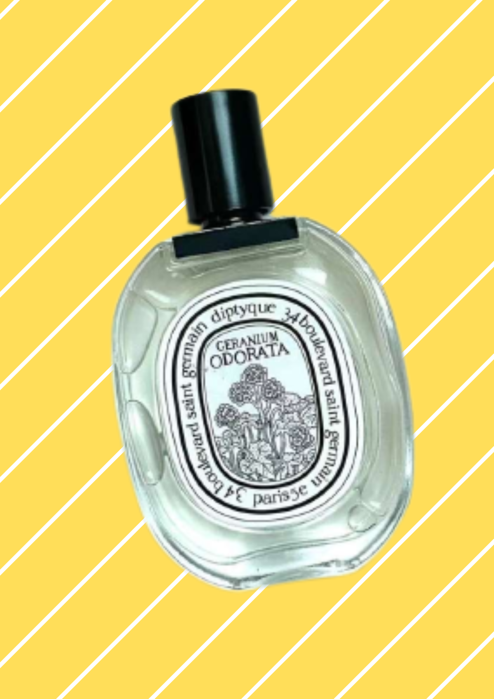 ⭐100ml EDT Diptyque Geranium Odorata - Perfume for Unisex