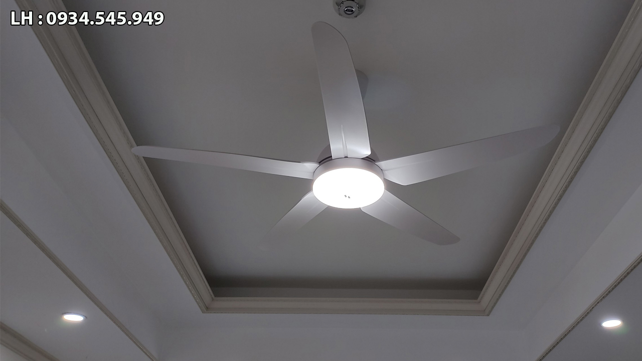 Quạt trần AC 5 cánh ACF02D525
