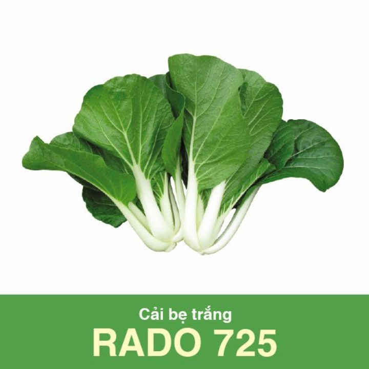 Hạt giống Cải bẹ trắng gói 20gr