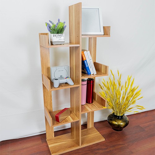 tủ để giầy - sách dáng kệ xương rồng