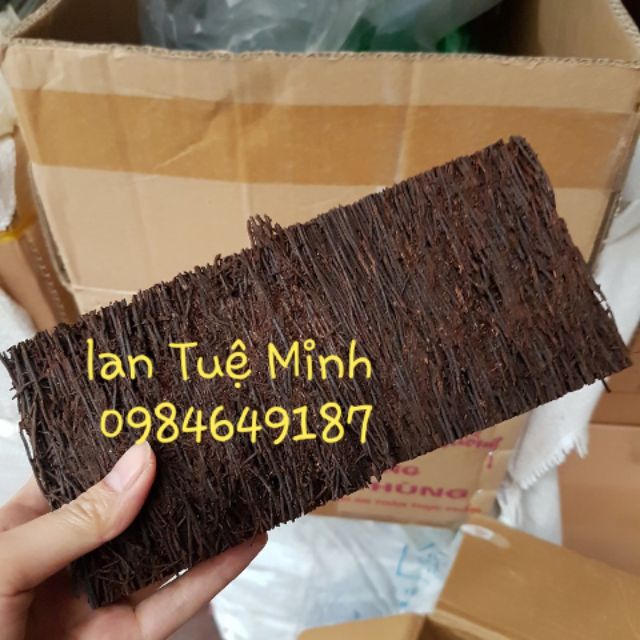 Combo 2 bảng dớn giữ ẩm trồng lan cỡ 10x20x3 cm