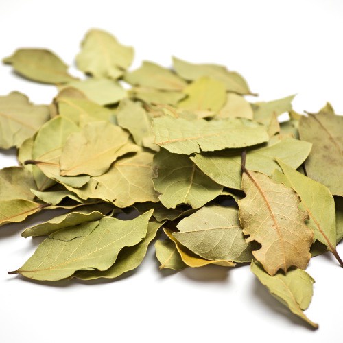 Lá nguyệt quế khô