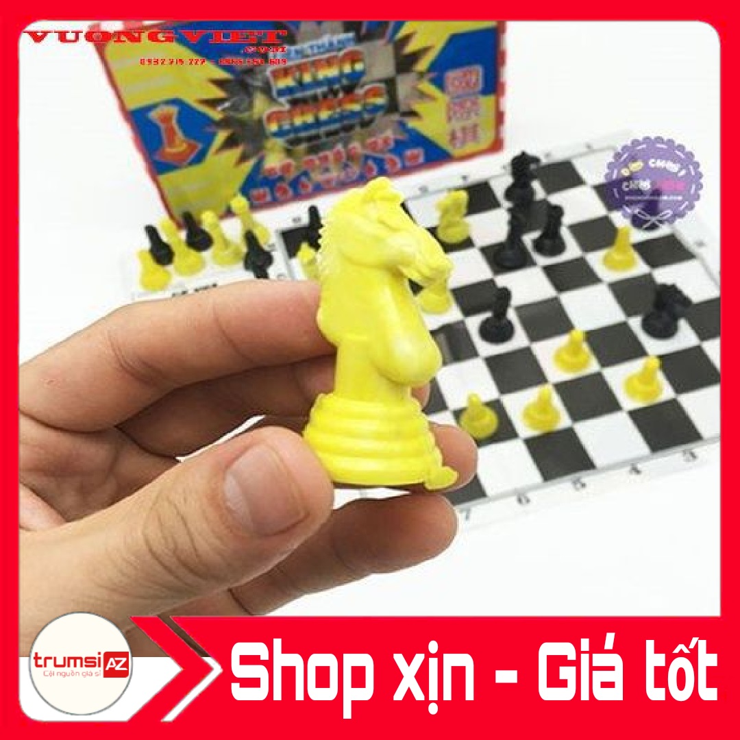 Bộ cờ Vua giải trí