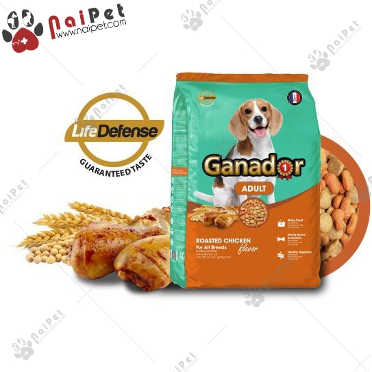 Thức Ăn Hạt Cho Chó Lớn Mọi Giống Chó Vị Thịt Gà Nướng Ganador Adult