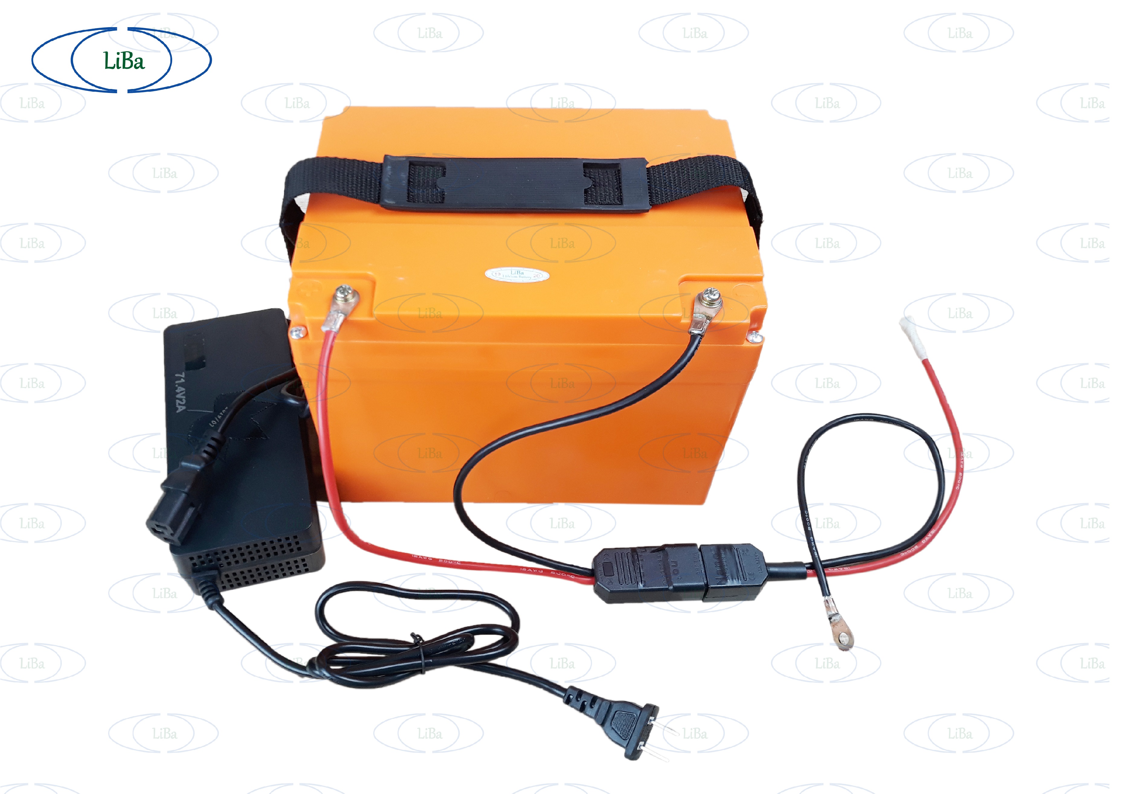Pin Xe Máy Điện, 63V 21Ah, thay thế 5 bình acquy 12V - Liba