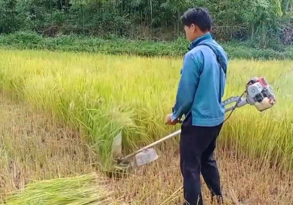 Bộ lồng gặt lúa, Lồng cắt cỏ gắn máy cắt cỏ cầm tay