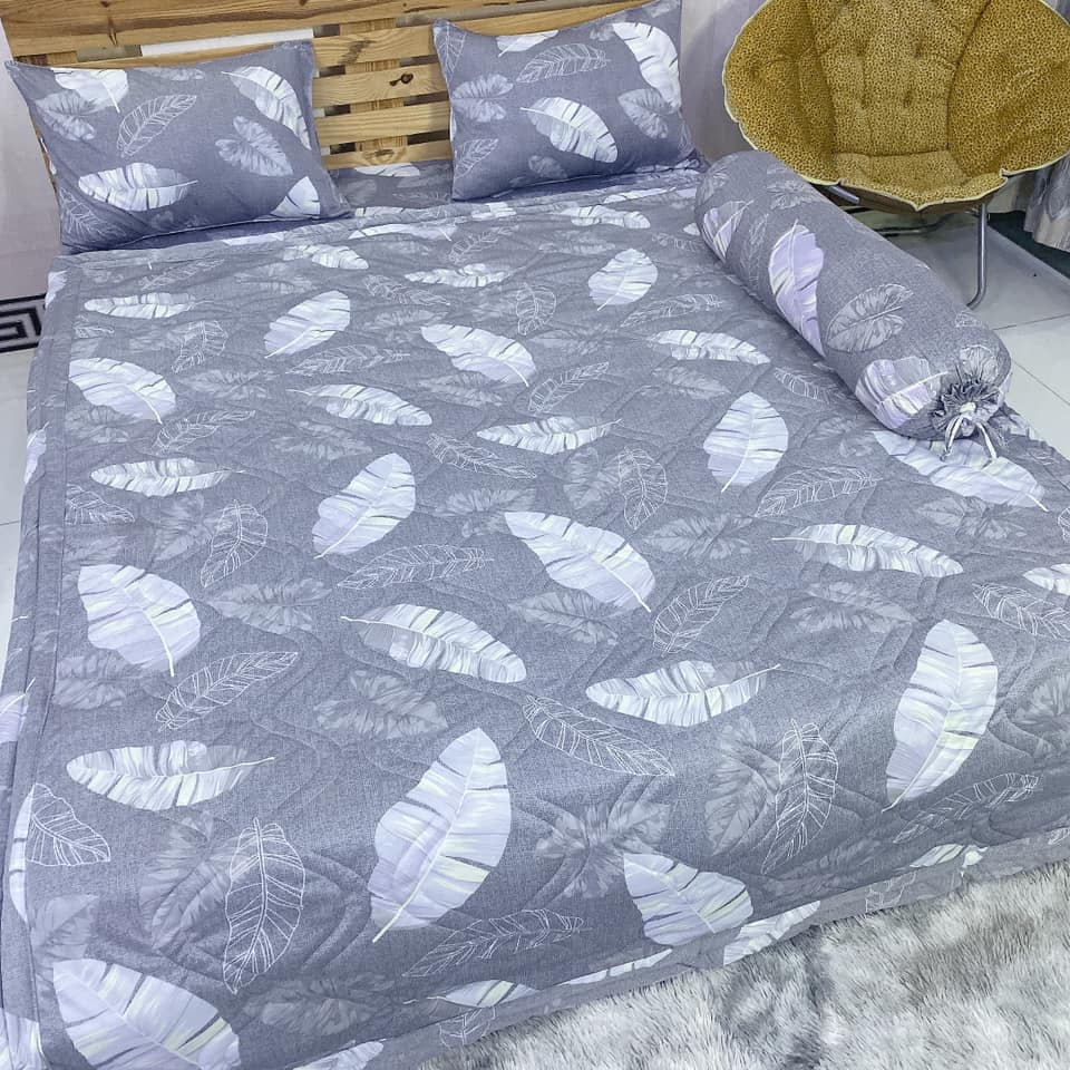Bộ drap thun hàn quốc 4 món mẫu lá