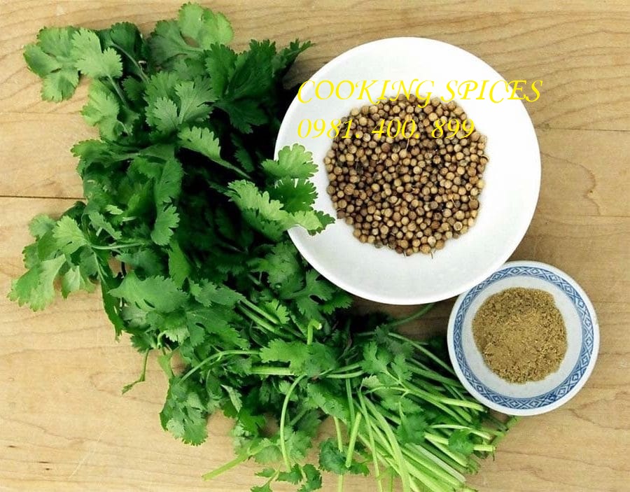 Bột Ngò nguyên chất ướp thịt nướng Kebab ( Coriander Powder )