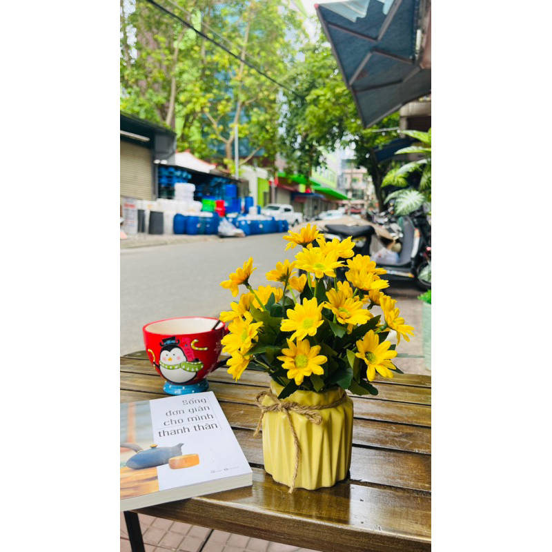 Chậu Cúc mini ( có sẵn chậu)
