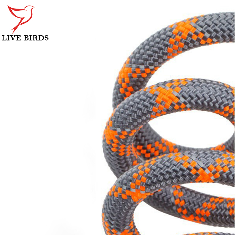 Multifunctional Nylon Double Leash For Dogs Reflective Strip Design Dog Training Leash For Medium Large Dogs