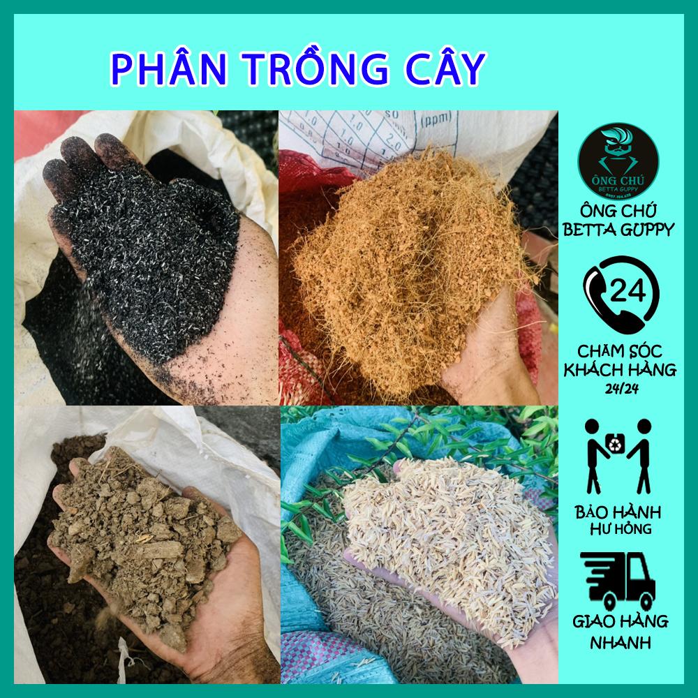 Phân bò hữu cơ - trồng cây