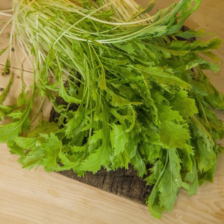 Hạt giống Cải Mizuna Nhật gói 5gr