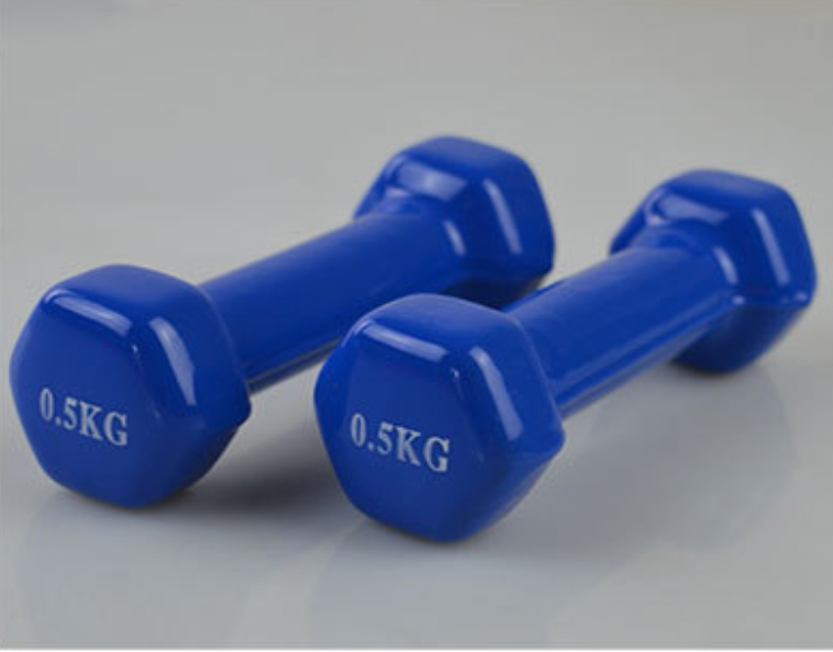 Vinyl Dumbbells Dumbbell 1kg 5kg/Female Lady Dumbbell Lazada Singapore