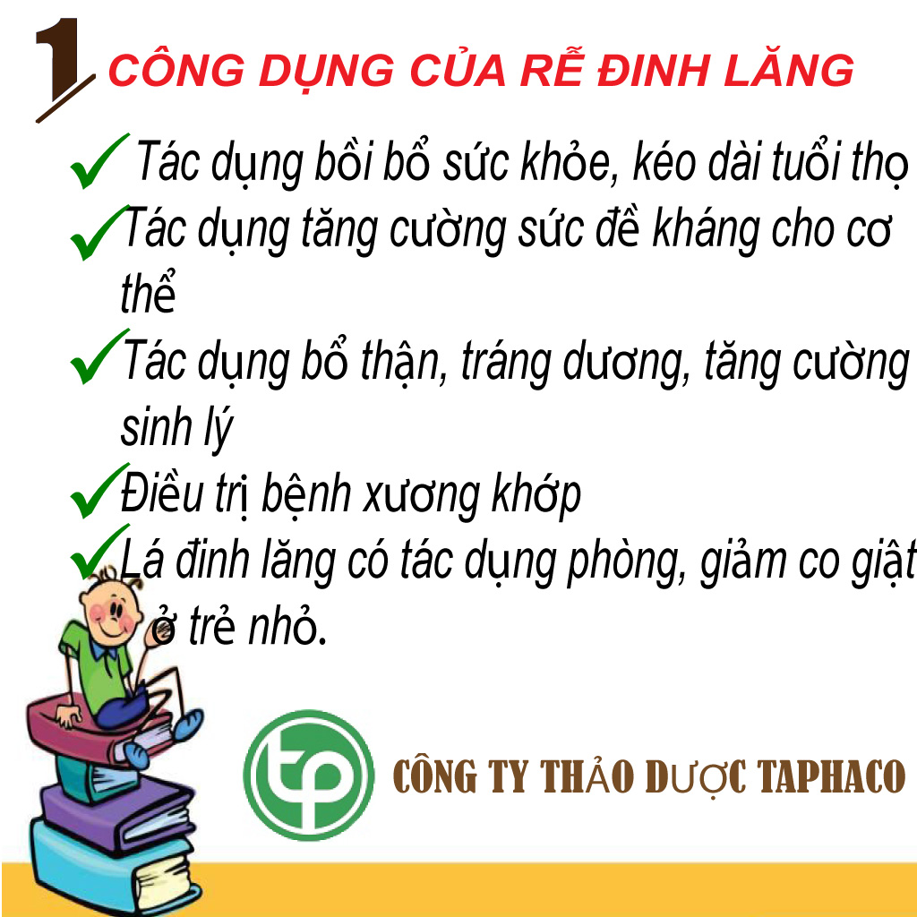 [Hàng công ty mới về] Rễ đinh lăng khô 500g - Hỗ trợ bồi bổ và tăng cường sinh lực
