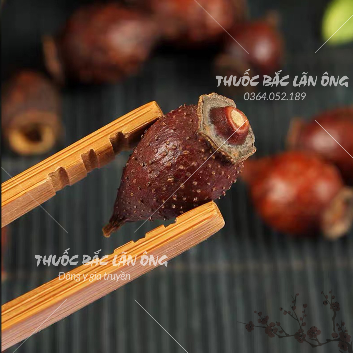 Kim anh tử 500g, thích lê tử khô, sạch, đã tách hạt - Lãn Ông