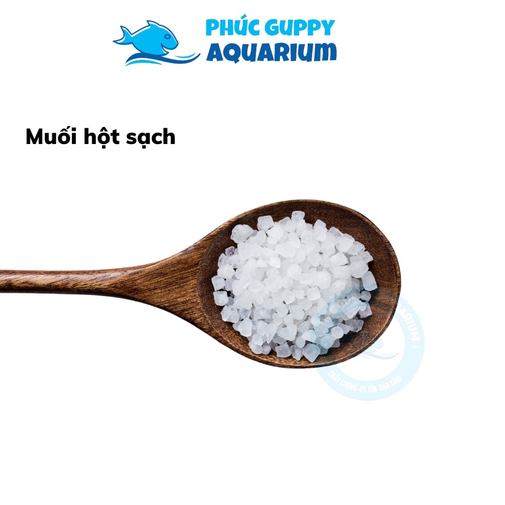 [Túi 500g-1Kg] Muối Hột Sạch