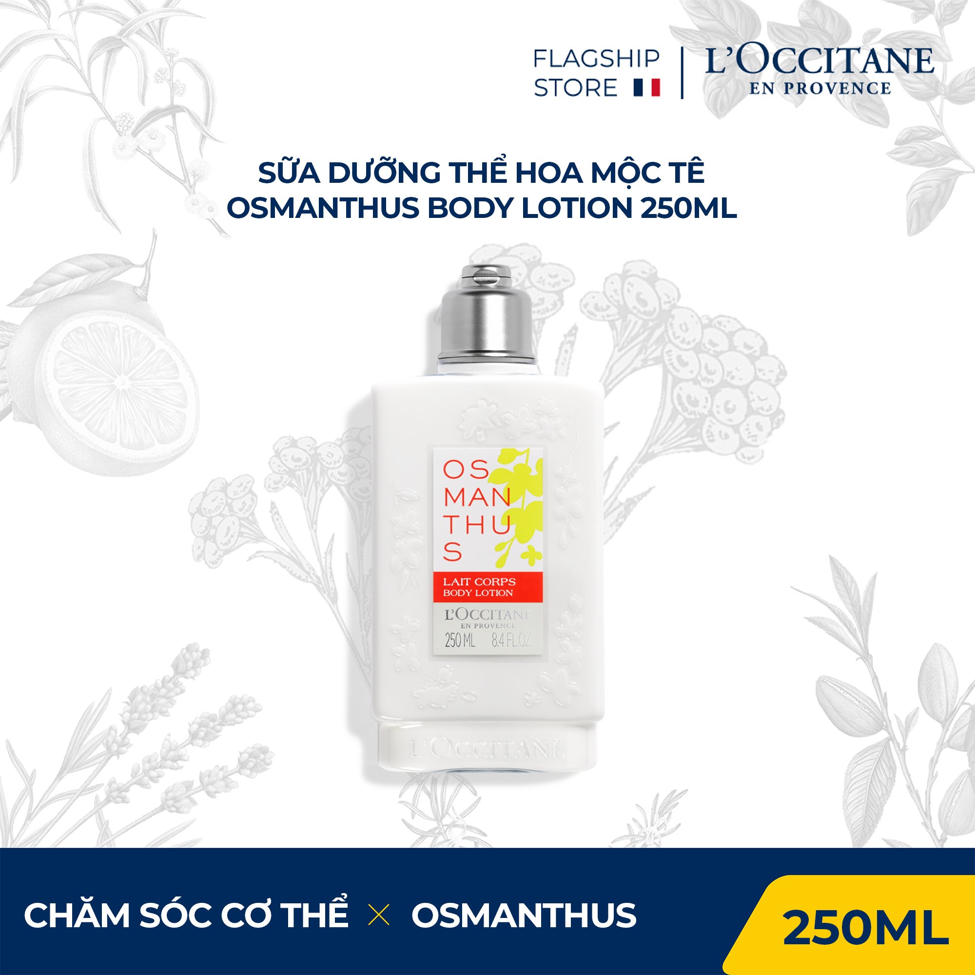 Sữa Dưỡng Thể Hoa Mộc Tê L'Occitane Osmanthus Body Lotion 75ml - 250ml
