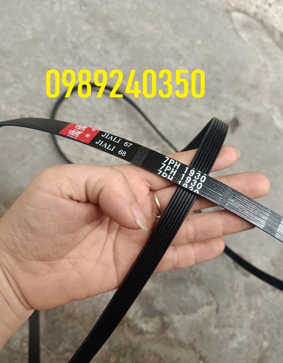 Dây curoa, dây đai máy sấy Electrolux EDV 8052 8kg mới loại tốt