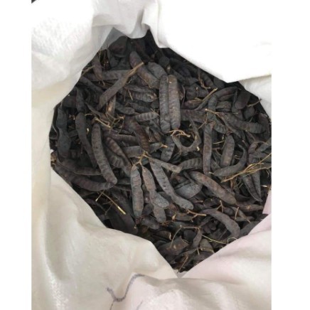 bồ kết khô 1kg