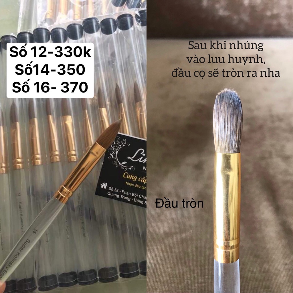 Cọ đắp bột số 12- 14 -16 lông tự nhiên 100%