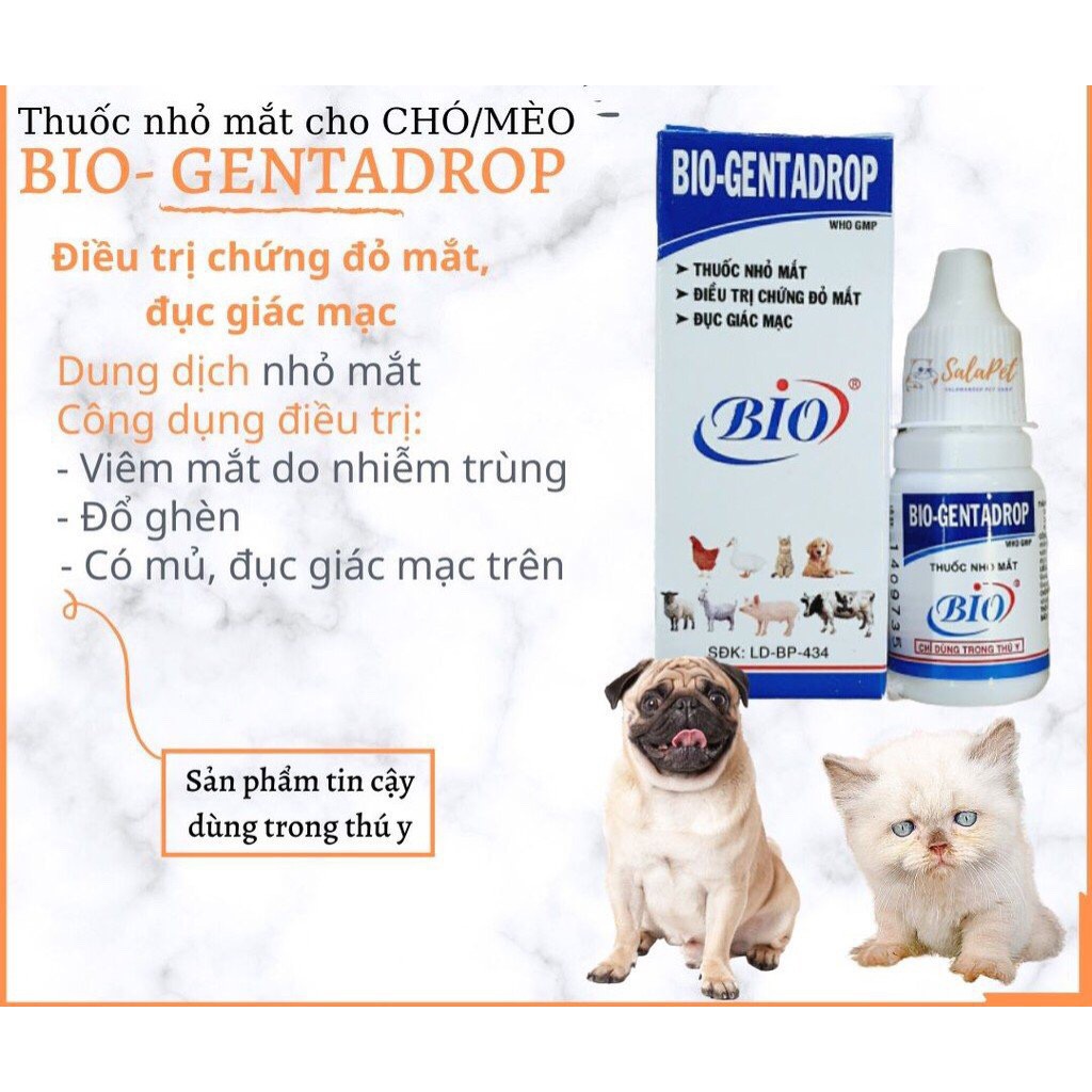 Nhỏ mắt cho chó mèo Bio Gentadrop 10ml