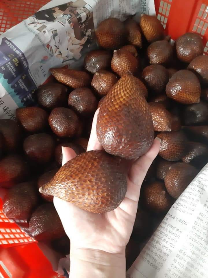(Chỉ giao hcm) Trái MÂY INDO ngọt thơm