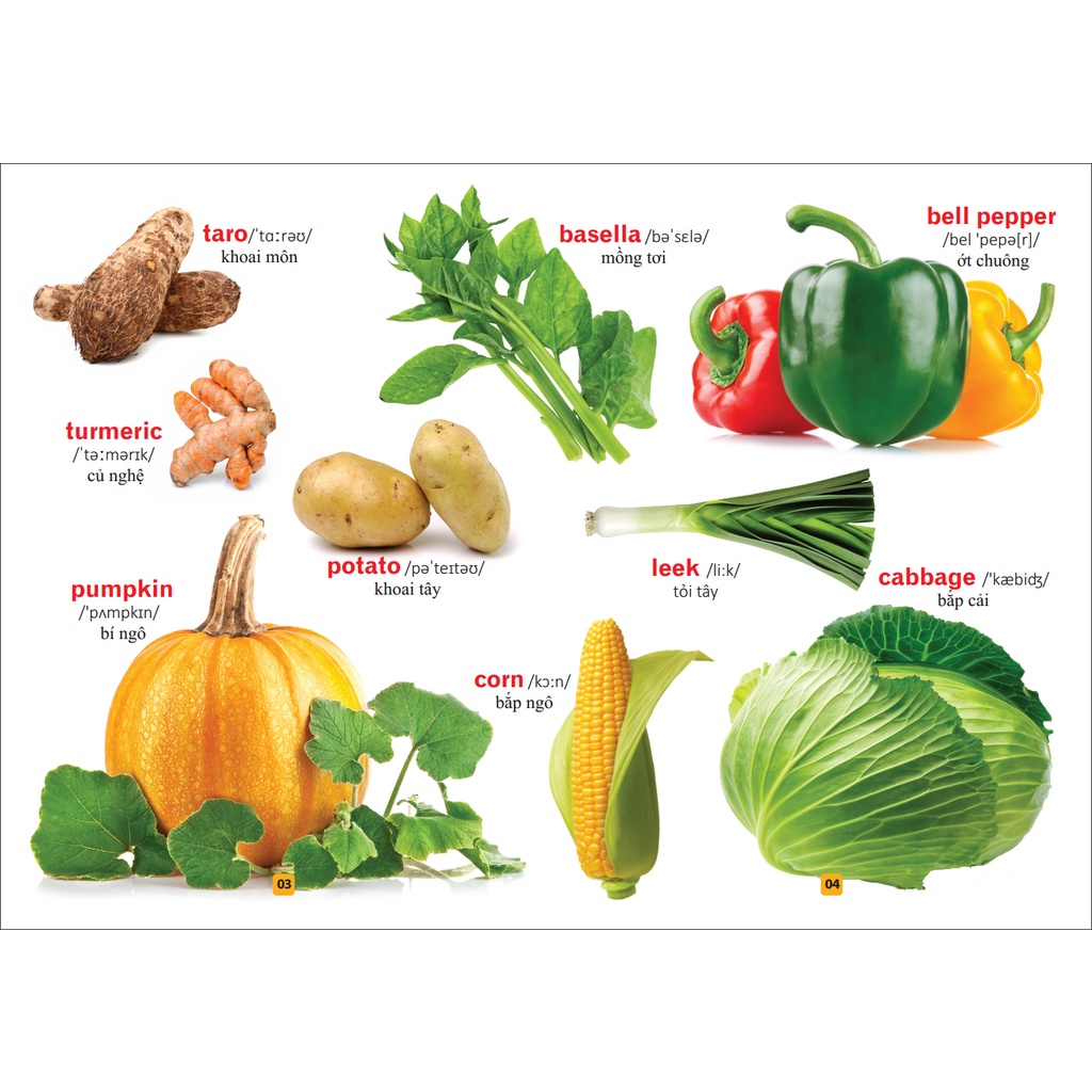 Từ điển bằng tranh - Rau củ quả(tái bản)
