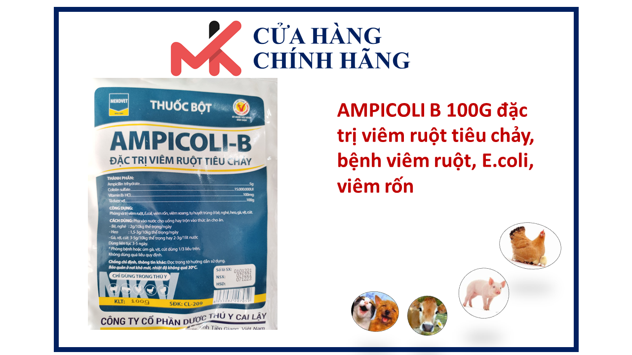 AMPICOLI B 100G đặc trị viêm ruột tiêu chảy, bệnh viêm ruột, E.coli thumbnail