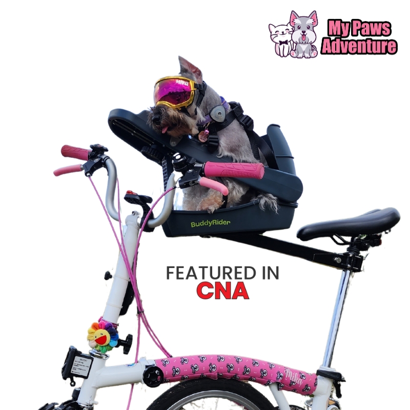 NEW Buddyrider series 2 Bicycle Pet Seat | Lazada Singapore