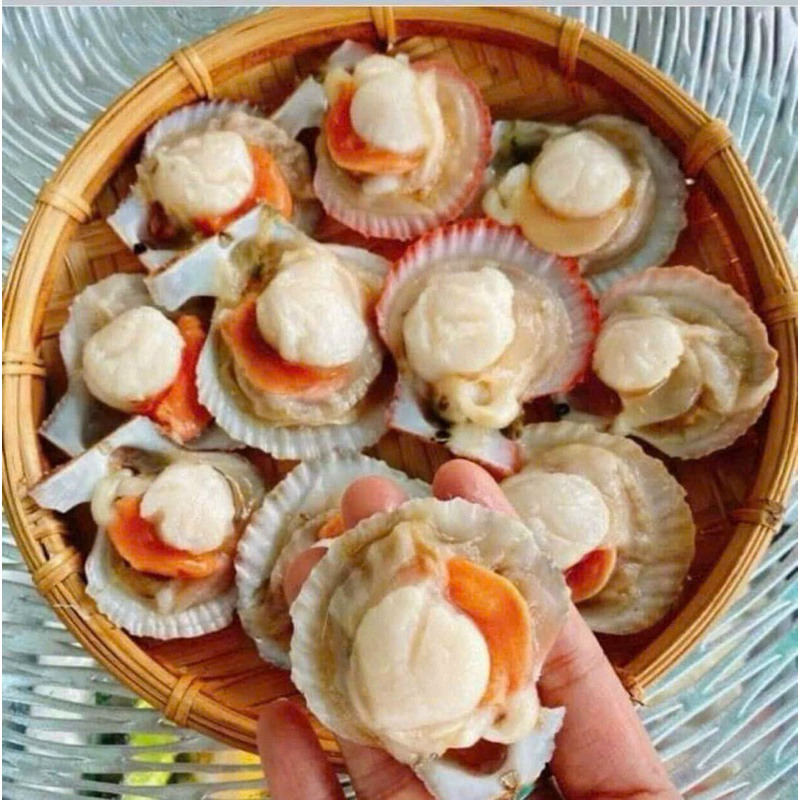 SÒ ĐIỆP TÁCH NỬA MẢNH bịch 1kg (giao tphcm)