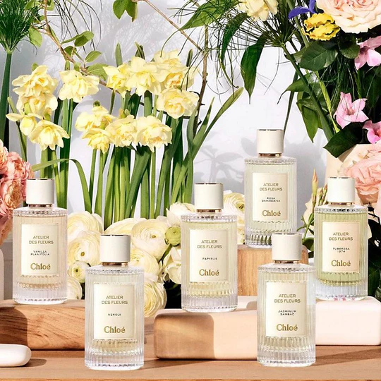 Chloé Atelier Des Fleurs Cedrus Eau De Parfum 50ml | Lazada Singapore