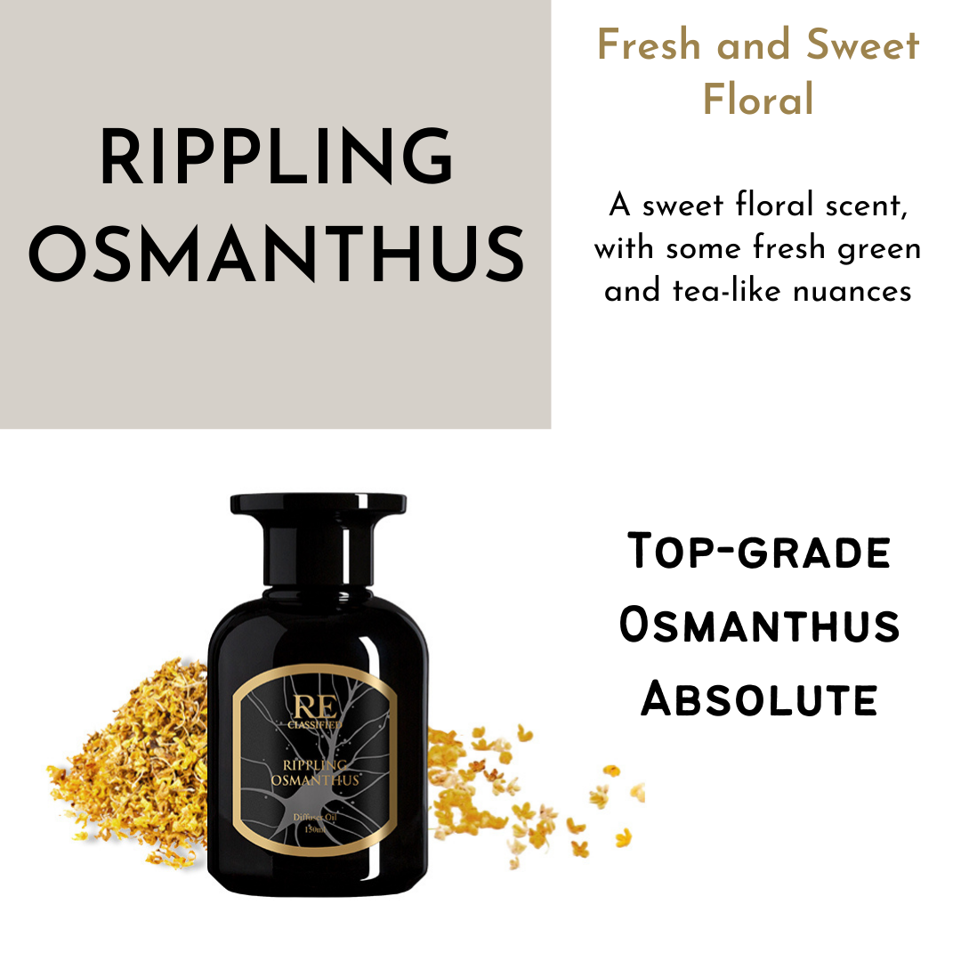 Reclassified Rippling Osmanthus Reed Diffuser Lush Nature Collection 150ml Premium Aromatherapy Fragrance Lazada Singapore