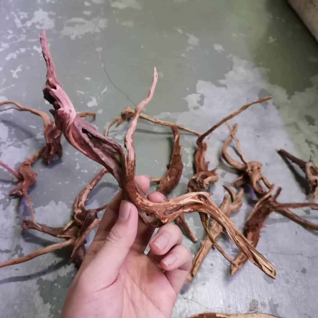 Malaysia Stock Natural wood branches driftwood for arts & crafts diy