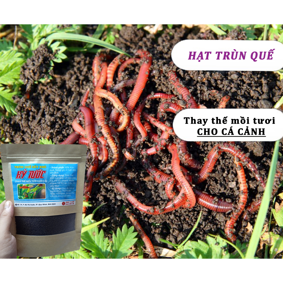 Thức ăn cao cấp cho cá cảnh_Hạt trùn quế sấy Hỷ Tước