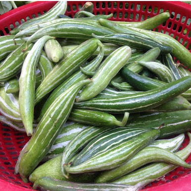 Hạt Giống Lặc Lày Sai Trái 2gr-H2T FARM