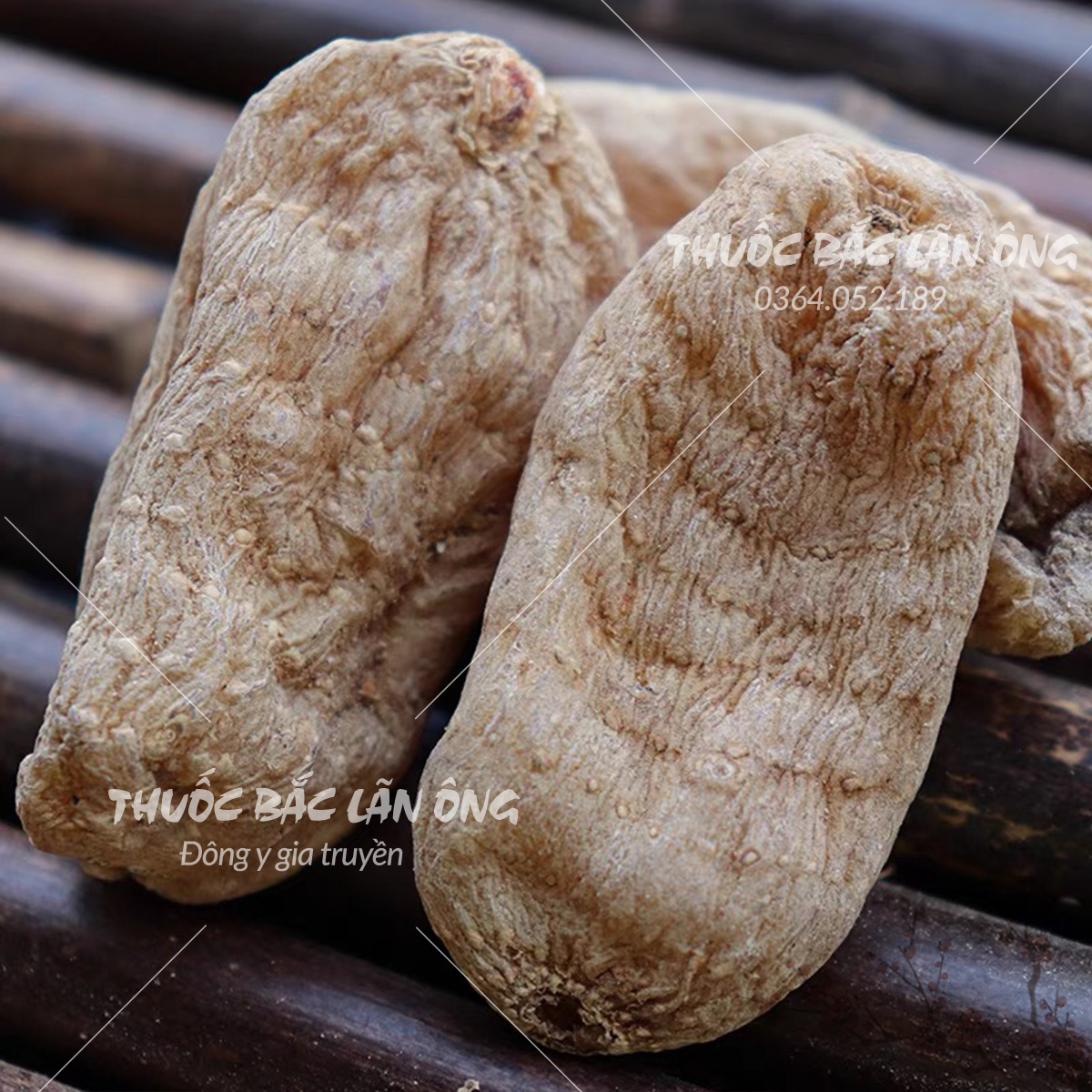 Củ thiên ma khô 100g (Hàng loại 1, khô, to đẹp)