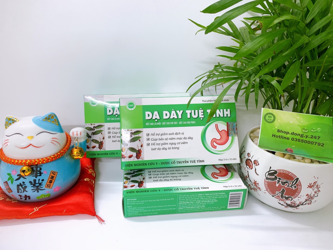 ✅ DẠ DÀY TUỆ TĨNH CHÍNH HẠNG 👍[Freeship] ❤️