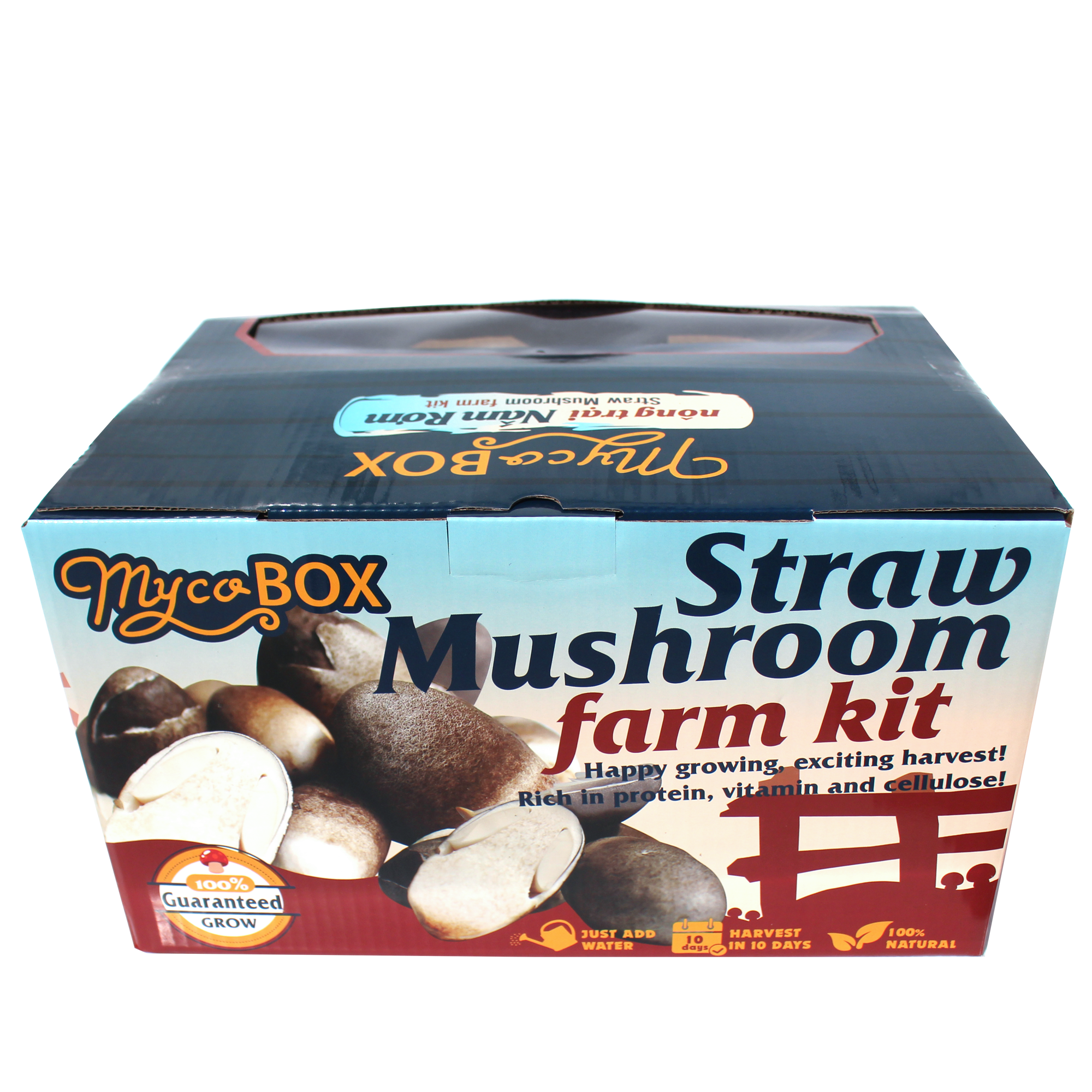 MycoBOX - Combo 2 Nông Trại Nấm Rơm